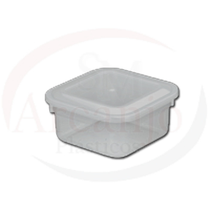 Caixa Organizadora RP 0,850 litros (Pacote c/ 48 unidades) - cód. 0309